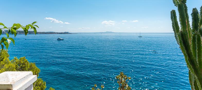 apartment-in-first-line-and-sea-access