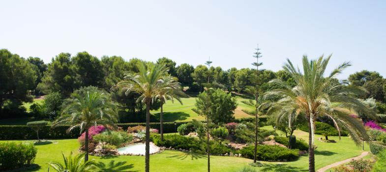 bright-and-spacious-apartment-in-ses-oliveres-with-views-over-bendinat-golf
