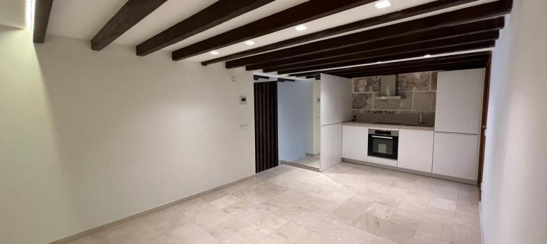 renovated-ground-floor-apartment-in-santa-catalina