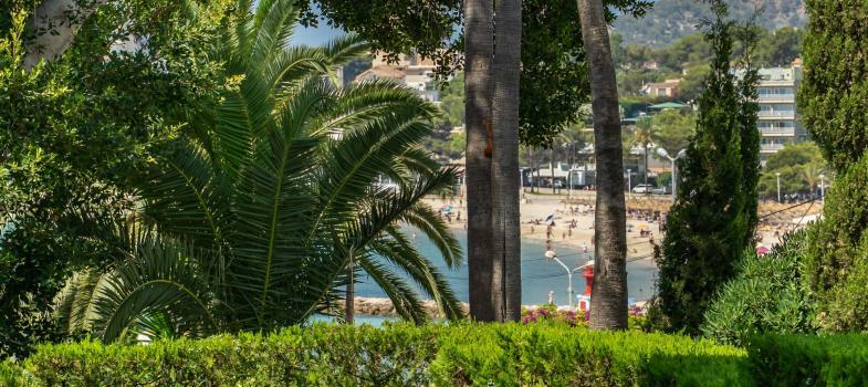 encantador-apartamento-totalmente-reformado-en-palmanova