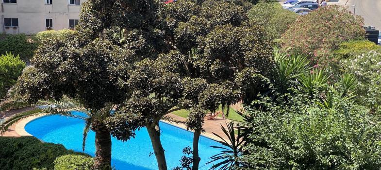 modern-beach-apartment-with-beautiful-sea-views