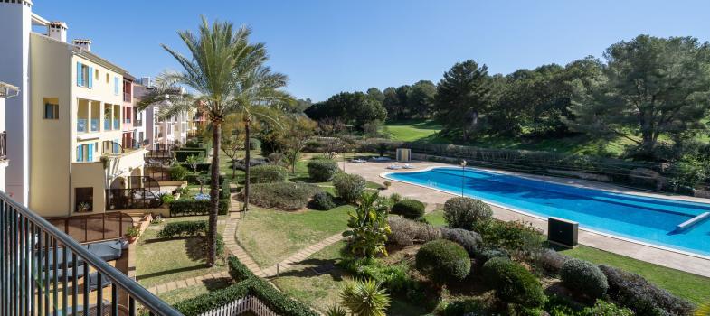 bright-and-spacious-apartment-in-ses-oliveres