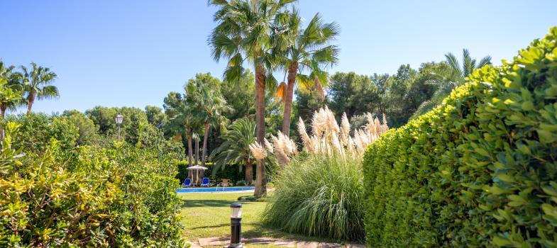 stilvoll-renovierte-gartenwohnung-in-ses-oliveres-bendinat-golf