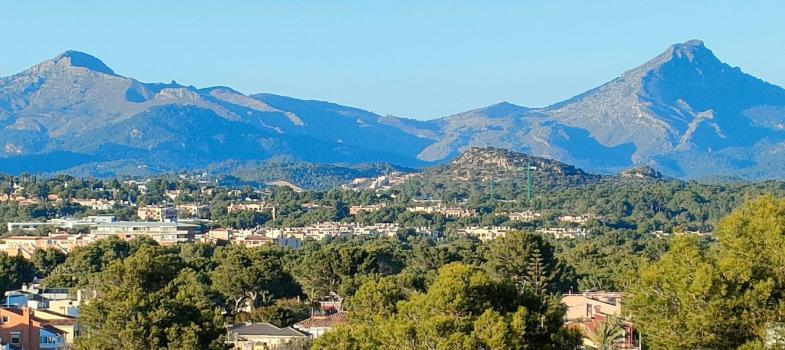 villa-with-great-renovation-potential-in-desirable-residential-area-of-el-t