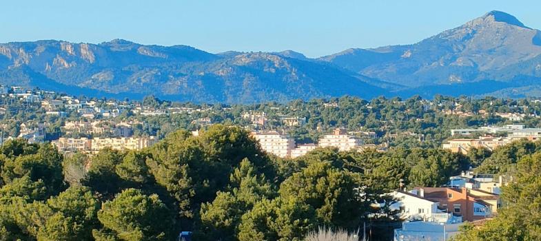 villa-with-great-renovation-potential-in-desirable-residential-area-of-el-t