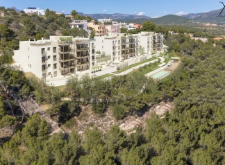 Property for Sale in Mallora Santa Ponsa ( Calvi? 